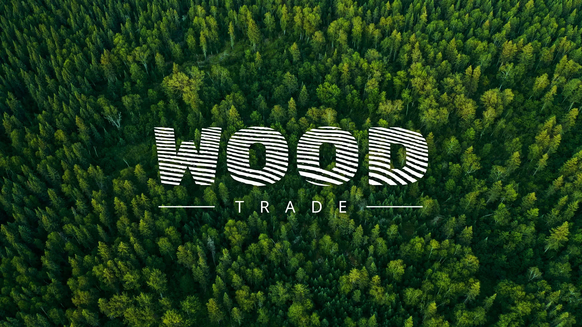 Разработка интернет-магазина компании «Wood Trade» в Юрьев-Польском